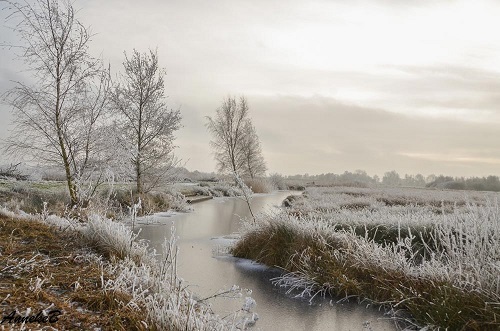 anneke1