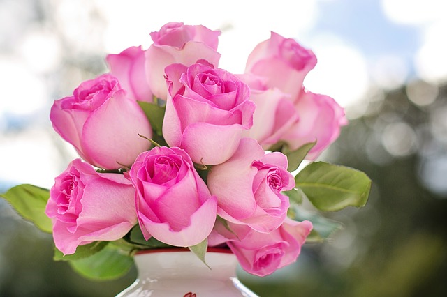 pink-roses-2191636_640