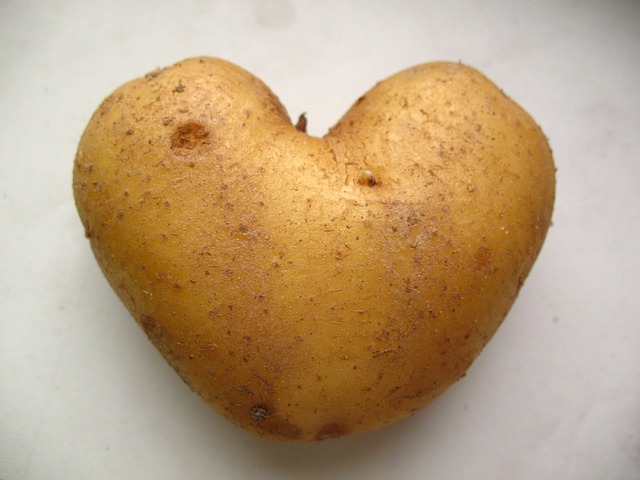 potato-165648_640