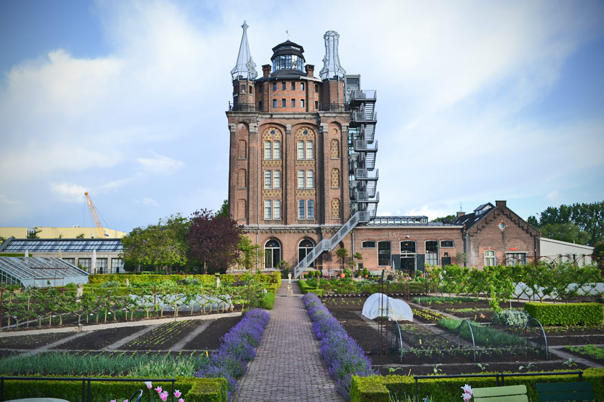 DORDT_VILLAAUGUSTUS1