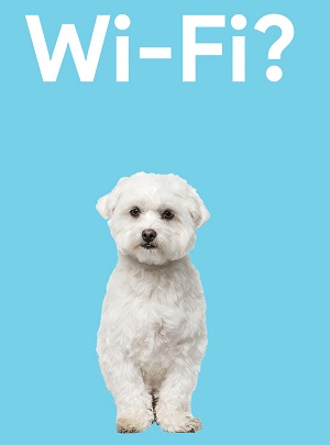 wifi-hondje