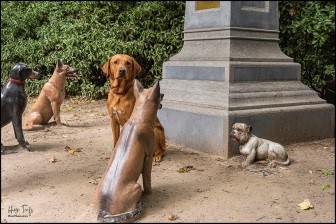 hond-bij-hondenstandbeelden