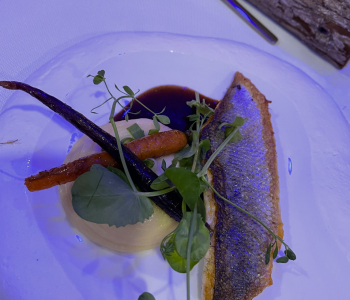 frankrijkladecouverte