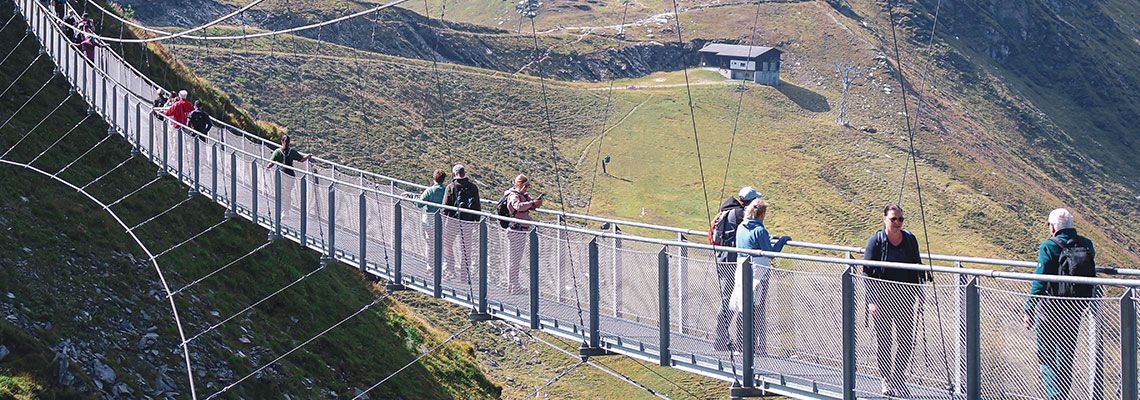 Foto-Suspension-Bridge-1140