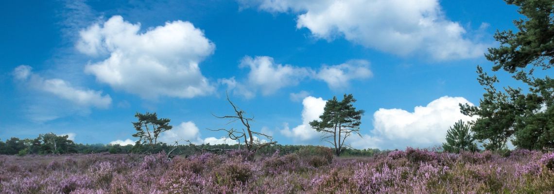 vlaanderen antwerpen-1140