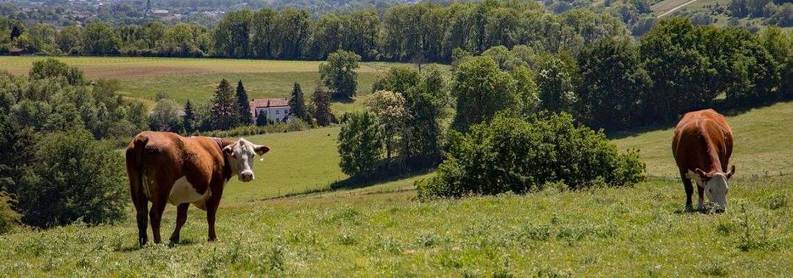 vlaanderenheuvezlland-1140