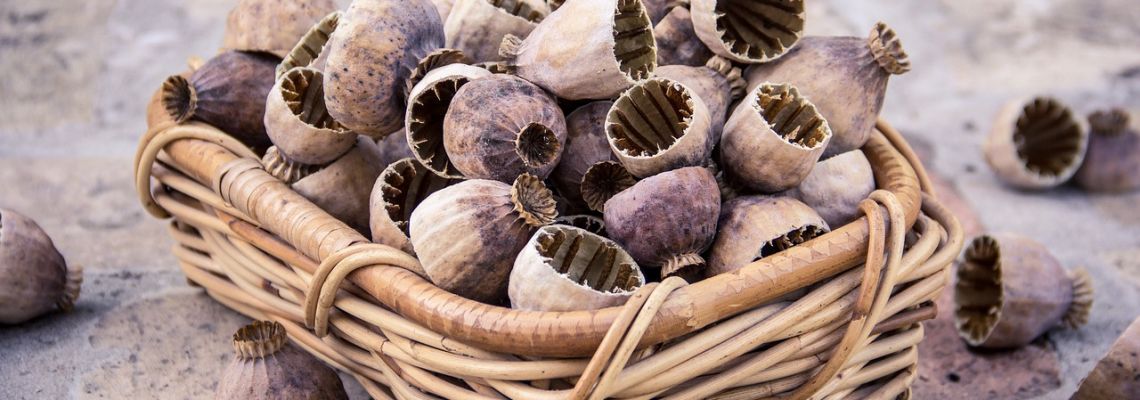 specerijenMaanzaad-1140