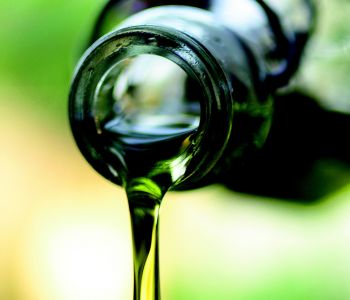 olijfolie2